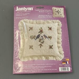 Janlynn Candlewicking Embroidery Kit 14"x14” Birds & Berries Stitched In Thread